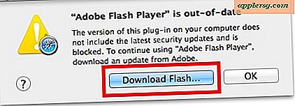 Flash Update Safari